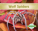 Wolf Spiders cover