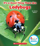 It's a Good Thing There Are Ladybugs cover