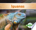 Iguanas (English) cover