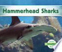 Hammerhead Sharks cover