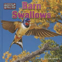 Barn Swallows cover