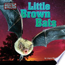 Little Brown Bats cover