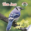 Blue Jays cover