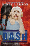 Dash cover