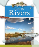 Life in Rivers cover