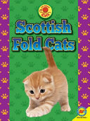 Scottish Fold Cats cover