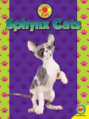 Sphynx Cats cover