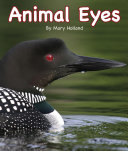 Animal Eyes cover