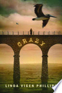 Crazy cover