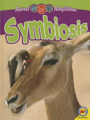 Symbiosis (Weigl/AV2) cover