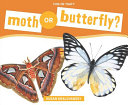 Moth or Butterfly? cover