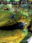 Eels cover