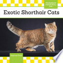 Exotic Shorthair Cats cover