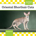 Oriental Shorthair Cats cover