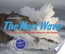 The Next Wave: The Quest to Harness the Power of the Oceans cover