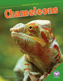 Chameleons cover