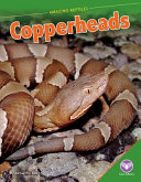 Copperheads cover