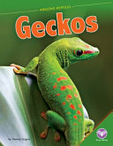 Geckos cover