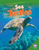 Sea Turtles (ABDO) cover