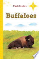 Buffaloes cover