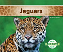 Jaguars cover