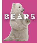Bears cover