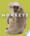 Monkeys cover