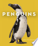 Penguins cover