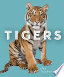 Tigers cover