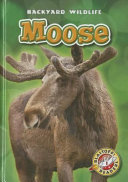 Moose cover