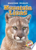 Mountain Lions cover