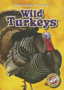 Wild Turkeys cover