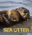 Sea Otter cover