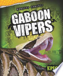Gaboon Vipers cover