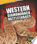 Western Diamondback Rattlesnakes cover