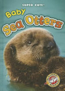 Baby Sea Otters cover