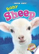 Baby Sheep cover