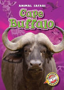 Cape Buffalo cover