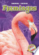Flamingos cover