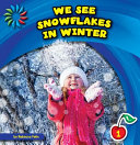 We See Snowflakes in Winter cover