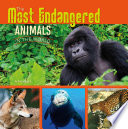 The Most Endangered Animals in the World cover