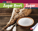From Sugar Beet to Sugar (Second Series) cover