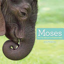 Moses: The True Story of an Elephant Baby cover