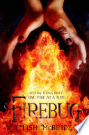 Firebug cover