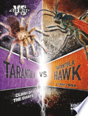 Insects and Spiders cover