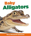 Baby Alligators cover