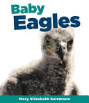 Baby Eagles cover