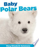 Baby Polar Bears cover