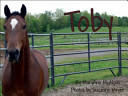 Toby cover