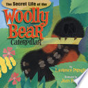 The Secret Life of the Woolly Bear Caterpillar cover